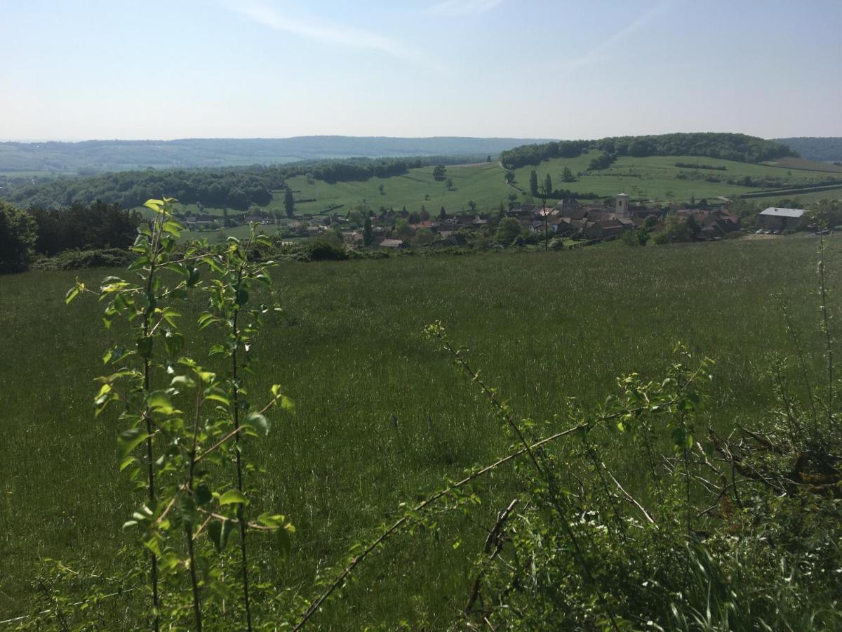Appartement 3 Etoiles Tout Confort Et Spacieux En Campagne Bourguignonne Mancey Esterno foto